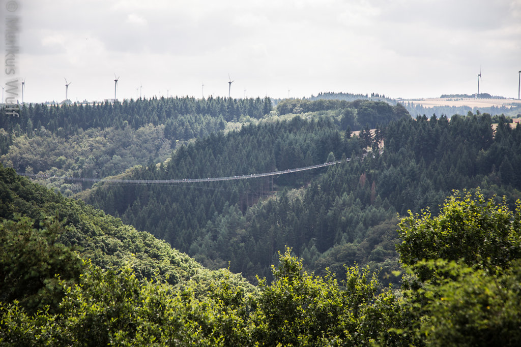 Geierlay-Brücke