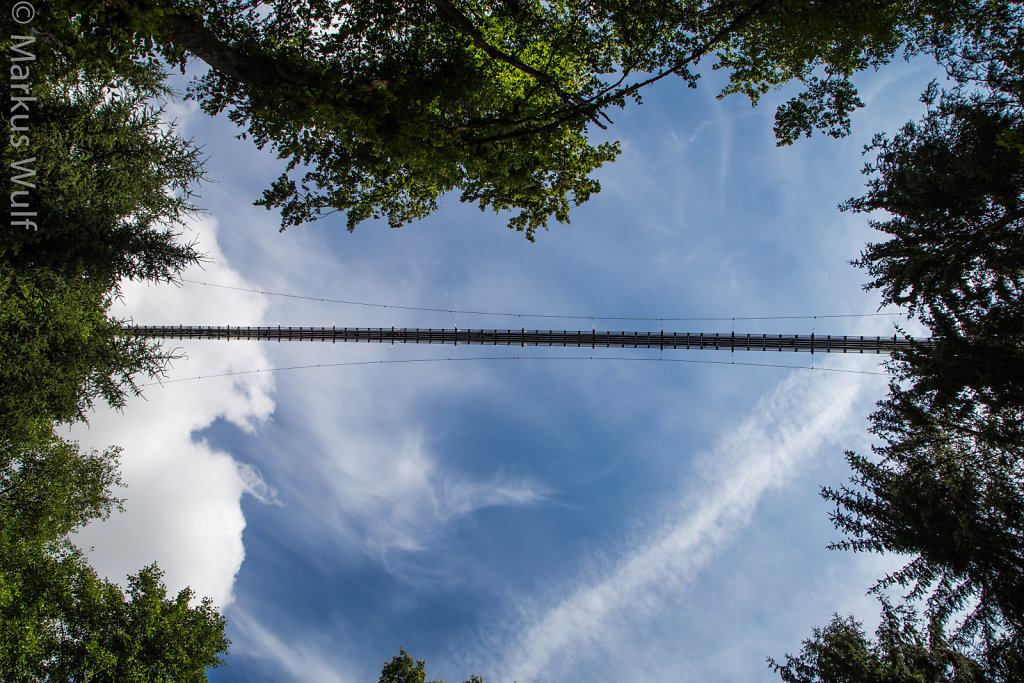 Geierlay-Brücke