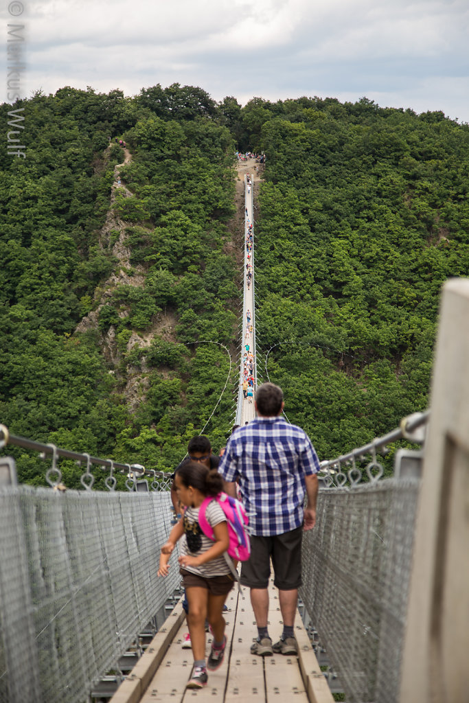 Geierlay-Brücke