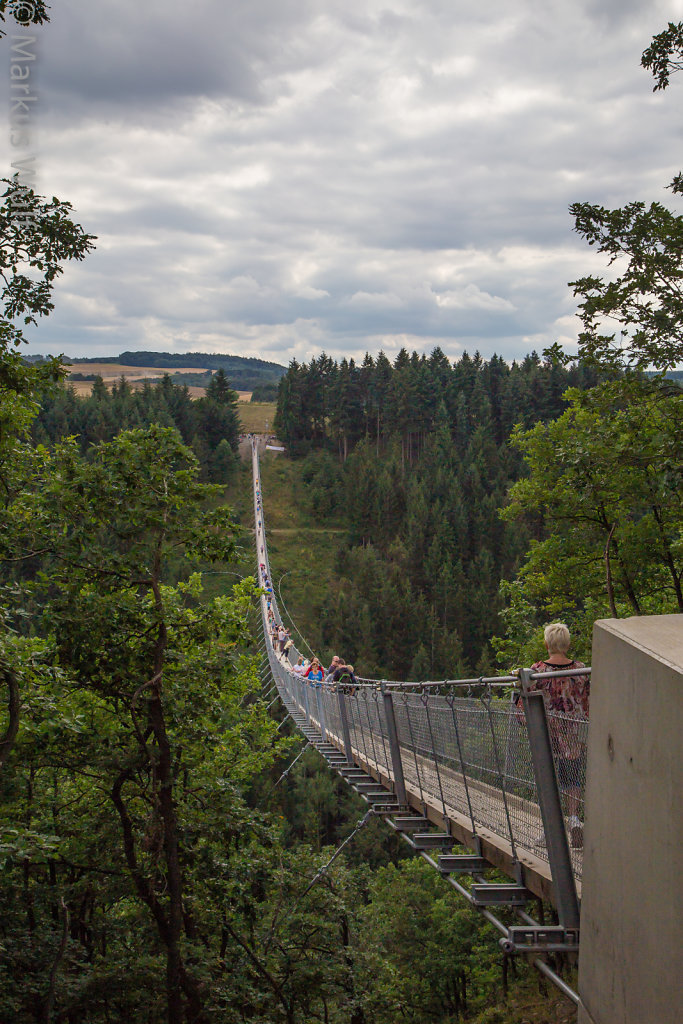 Geierlay-Brücke