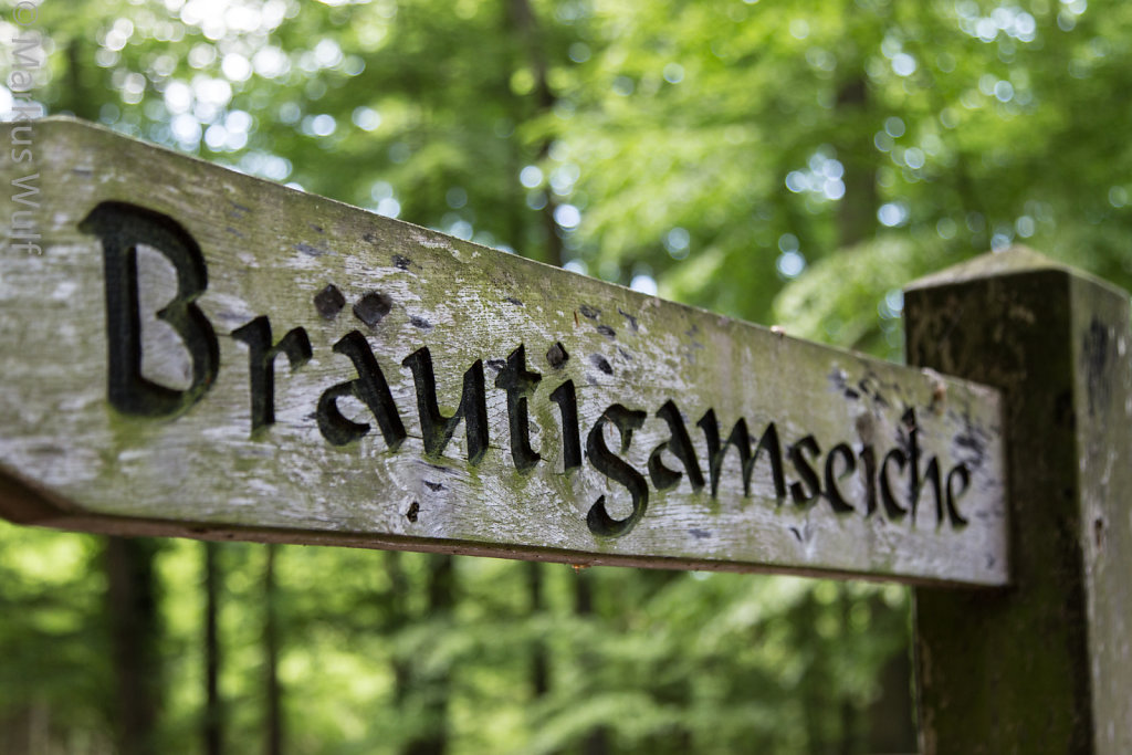 Schild